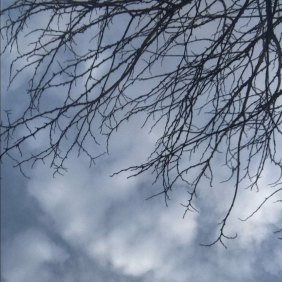 Meet your Posher, Claire - Picture 1 of 1